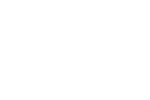 The Salamone Group Watermark