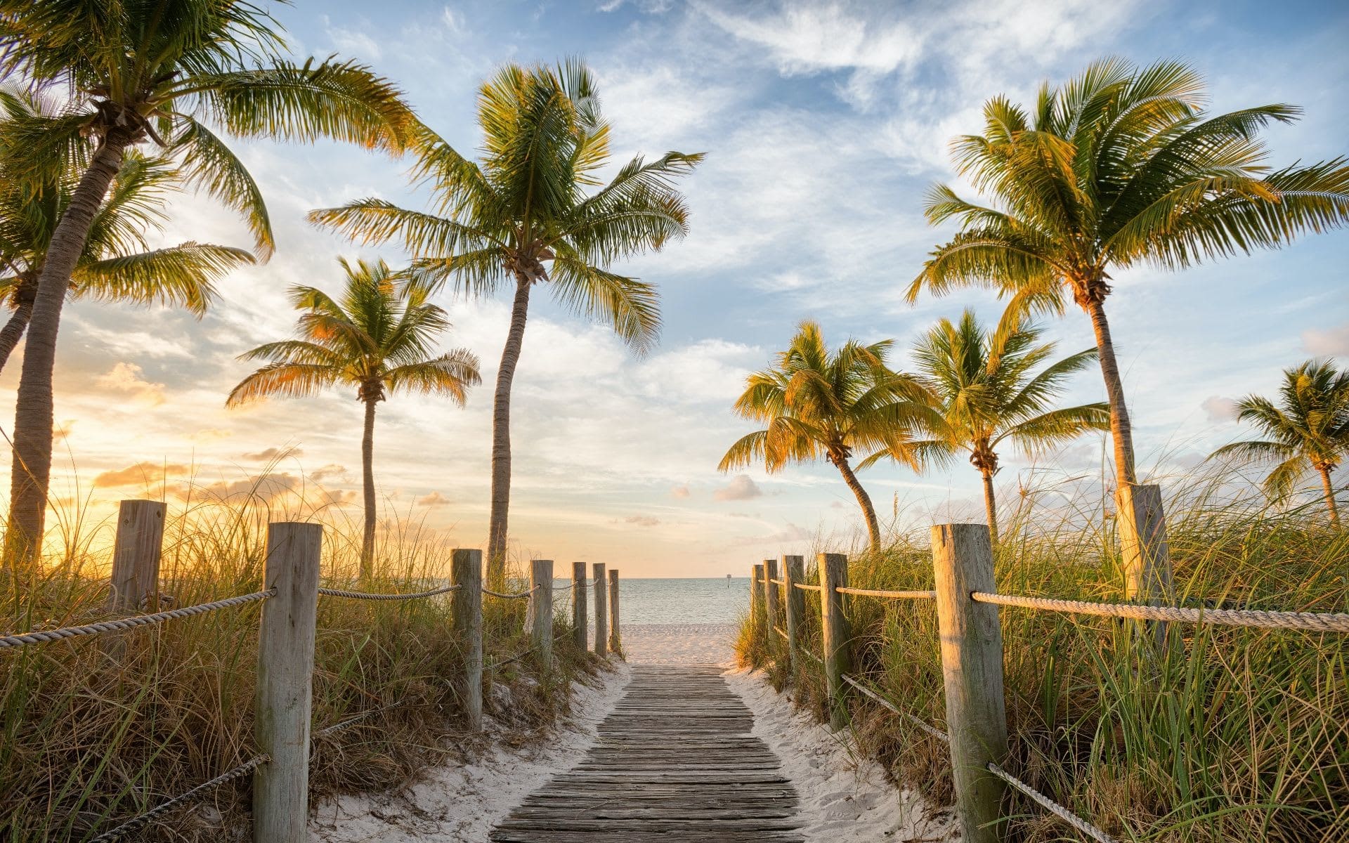 planked walkway to the beach