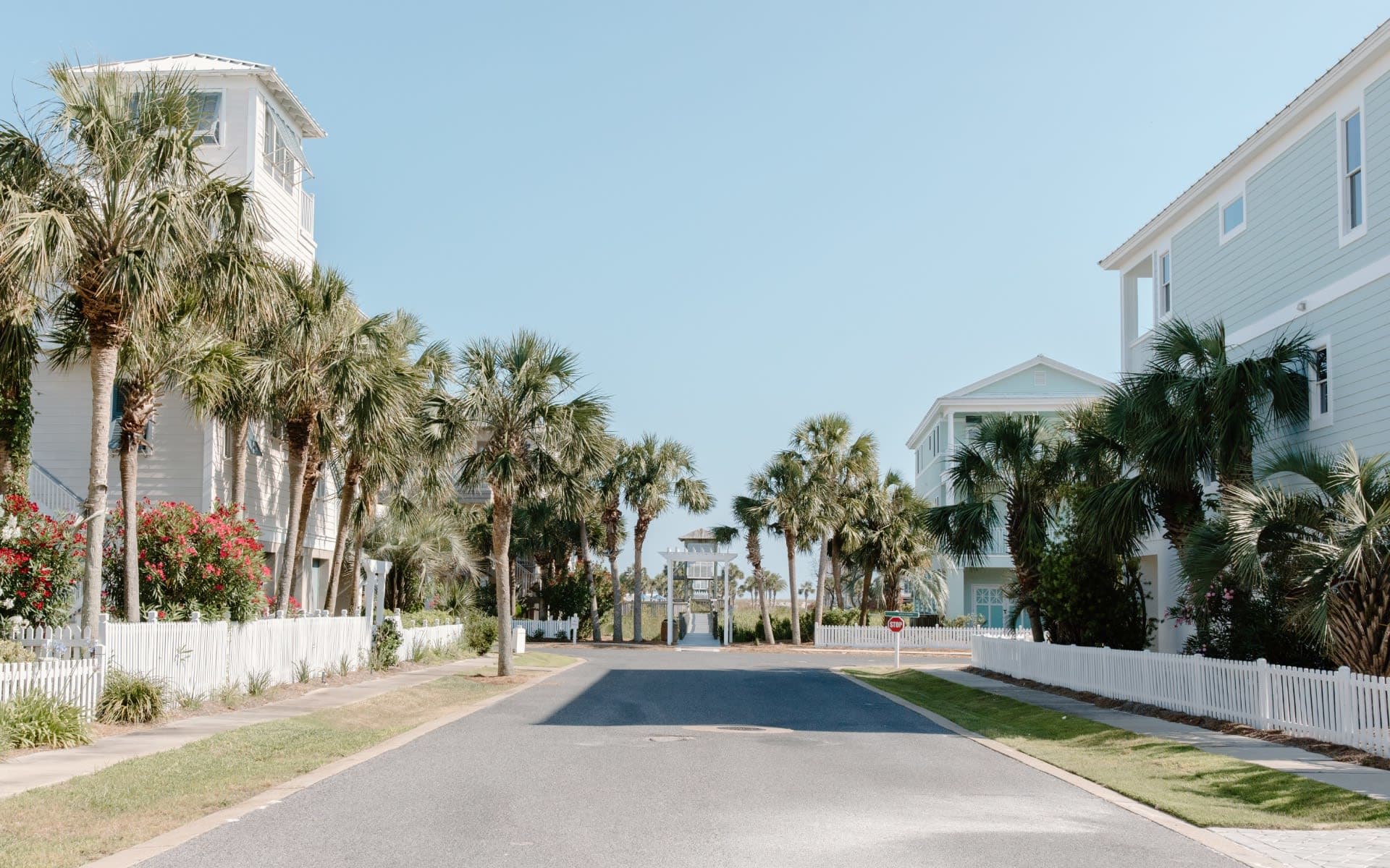 Palm trees on either side of a street