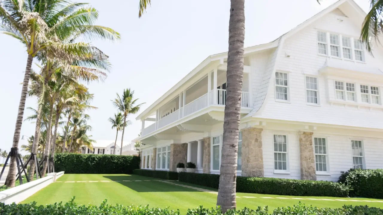 white house with palm trees